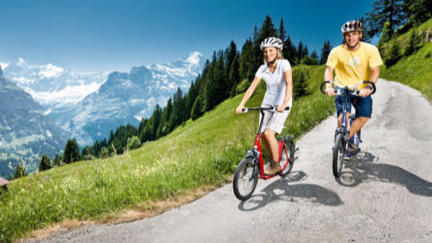Mobirise